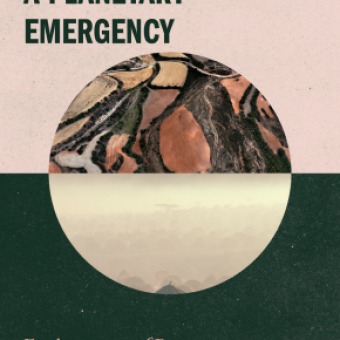 Elements of a Planetary Emergency: Environment of Peace (Part 1)